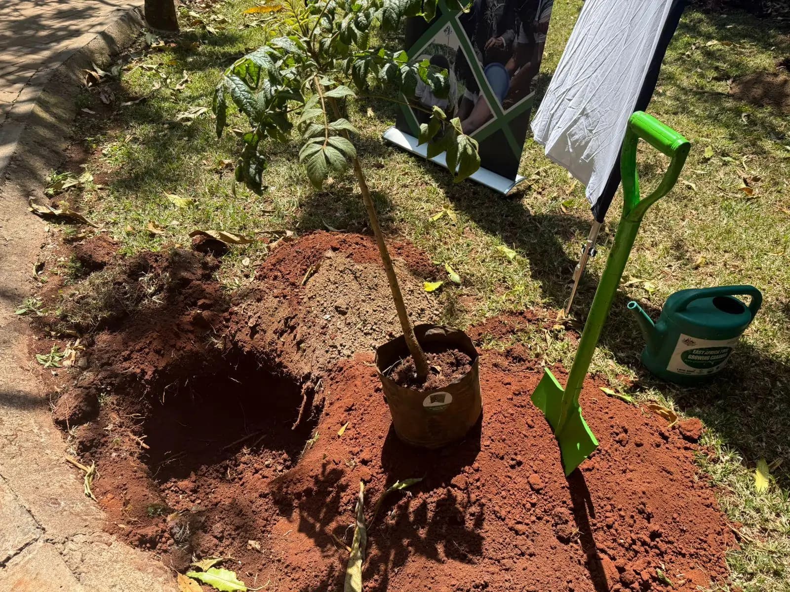 Growing Kindness Project